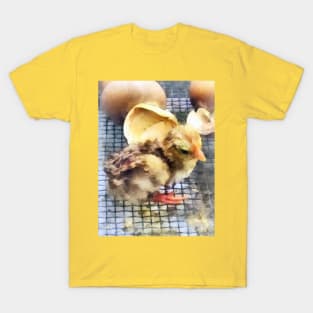 Chickens - Just Hatched T-Shirt